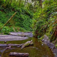 Индонезия. :: Aleksey Afonin Индонезия. :: Aleksey Afonin