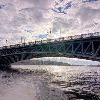 Мост на Неве :: Татьяна Пальчикова Мост на Неве :: Татьяна Пальчикова