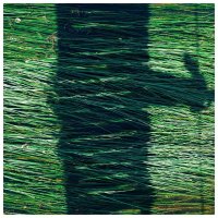 *** :: someone somewere