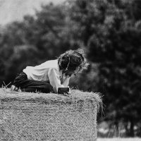 Animal magnetism :: AL Reborn 