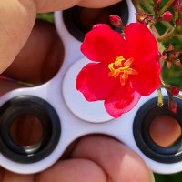 112 (143) :: СТРЕН 