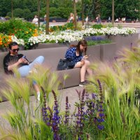 МОСКОВСКАЯ ПЛОЩАДЬ :: Виктор Никитенко МОСКОВСКАЯ ПЛОЩАДЬ :: Виктор Никитенко