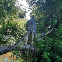 Рыбка :: Мария Гуськова