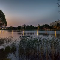 Белые ночи Санкт Петербурга. :: Лилия *