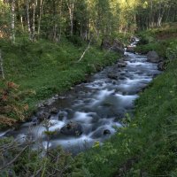 Сарала :: Марина Фомина.