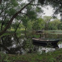 ***** :: юрий поляков