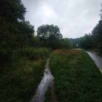 Сегодня - дождь :: Андрей Лукьянов