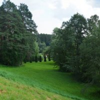 На окраине усадьбы Валуево (панорама) :: Александр Буянов На окраине усадьбы Валуево (панорама) :: Александр Буянов