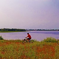 Июнь...Велопробег ребят по берегу Юганской Оби! :: Владимир 