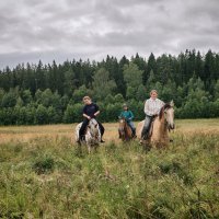 Прогулка в полях. :: Ольга 