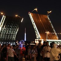 Дворцовый мост :: Любовь Сахарова