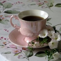 Утренний кофе :: Татьяна Смоляниченко