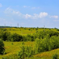 Алатырь. Кустарниковые заросли в пойме реки Алатырь. :: Пётр Чернега