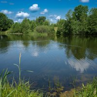 Природа Лунского озера :: Александр Синдерёв
