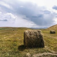 "... не откладывай на завтра..." :: LudMila "... не откладывай на завтра..." :: LudMila
