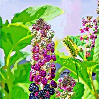 ЛЕТО :: Юрий Владимирович 34