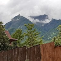 Конец июля - тоже середина лета :: Галина Минчук