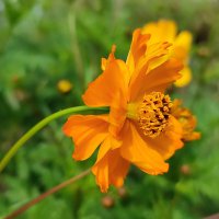 Ветер :: Валентина Богатко 