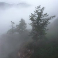 Туман Торгашинского хребта :: Марина Фомина.