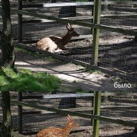 Обработка. :: Борис Калитенко