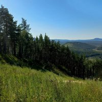 Медовые травы :: Hope 