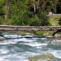 Камазы с лесом по нему едут... :: Александр Кондаков Камазы с лесом по нему едут... :: Александр Кондаков