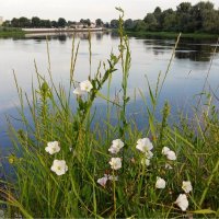 Березина :: Геннадий Худолеев Худолеев