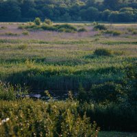 Утро по дороге на море :: Вячеслав Владимирович