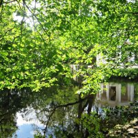 парк :: марта Камушкина