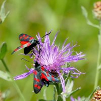 из снятого 1 августа 22 :: Александр Прокудин из снятого 1 августа 22 :: Александр Прокудин