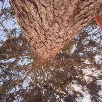 ЛЕ БО 5 (49) :: CLOSE WAYS ALL