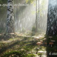 Дождь и солнце - будут грибы! :: Валерий Иванович Дождь и солнце - будут грибы! :: Валерий Иванович