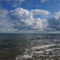 Полёт.... :: Алёна Савина