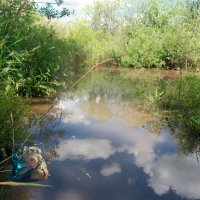 У оптимиста русалка наполовину женщина, а у пессимиста — рыба… :-) :: Андрей Заломленков