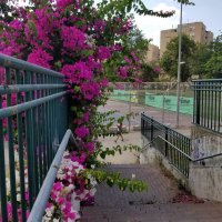 " :: Светлана Хращевская " :: Светлана Хращевская