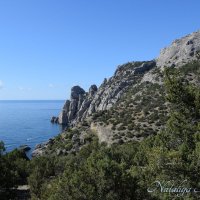 Природа Крыма :: Amazing Cosmea