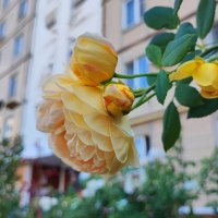 ,,, :: Сергей Тимоновский