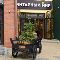 Солнечный город :: redfox 