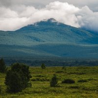 ... :: Жора Житников