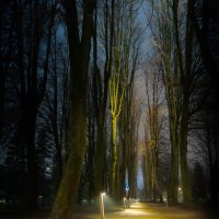ночная аллея :: Denis Doroshenko