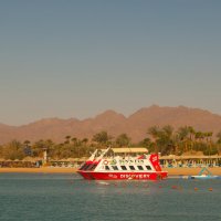 Египет :: Андрей 