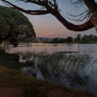 Белые ночи Санкт Петербурга. :: Лилия *