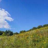Палитра августа... :: Владимир Жданов