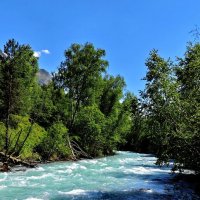 А по камушкам речка бежит... :: Александр Кондаков