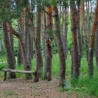 Райский уголок :: Татьяна Машошина