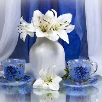 Белое и синее :: Людмила Павловна Крышковец