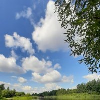 Новоладожский канал :: Наталья Герасимова Новоладожский канал :: Наталья Герасимова