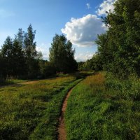 Август в Измайловском парке. Тема с вариацией :: Андрей Лукьянов