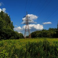 Август в Измайловском парке. Тема с вариацией :: Андрей Лукьянов