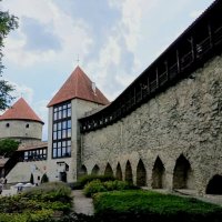 Старый Таллин :: Veera V